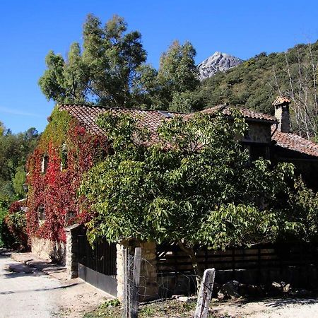 Molino Rodete Guest House Jimera de Libar Exterior photo
